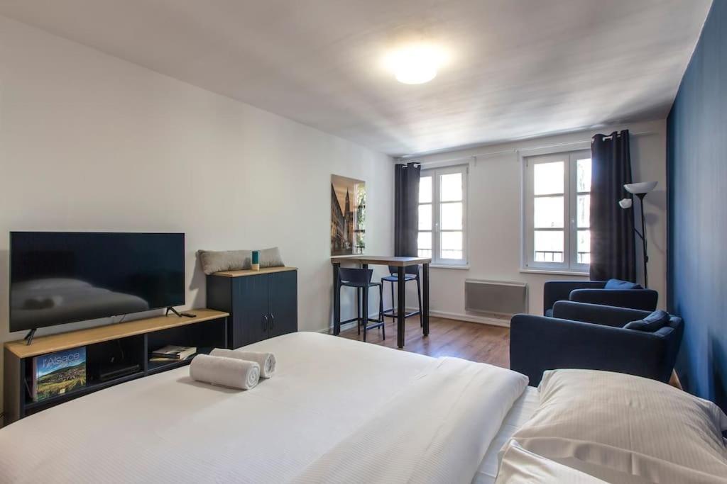 Le 52 Zix - Joli Studio Au Coeur De La Petite France Strasbourg Luaran gambar